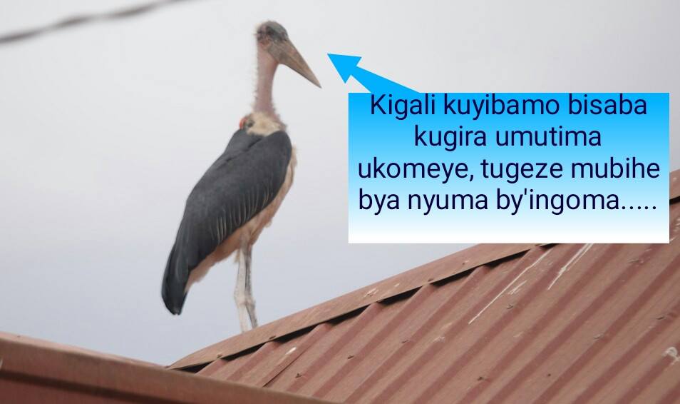 Kigali